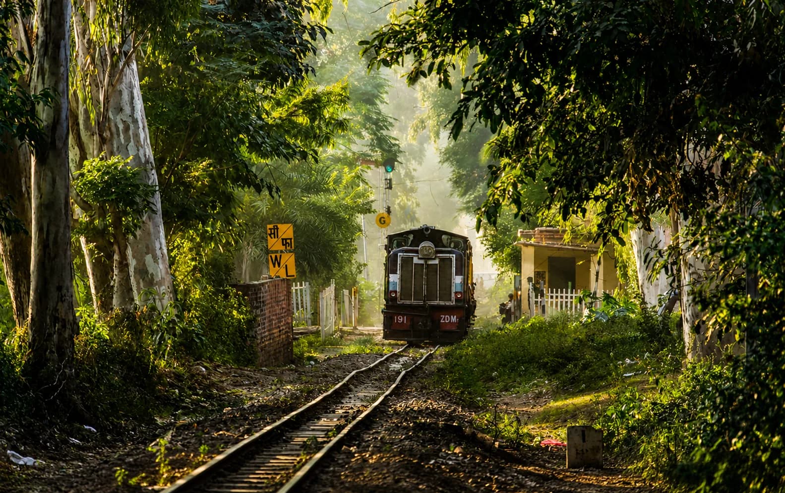 Pathankot Train
